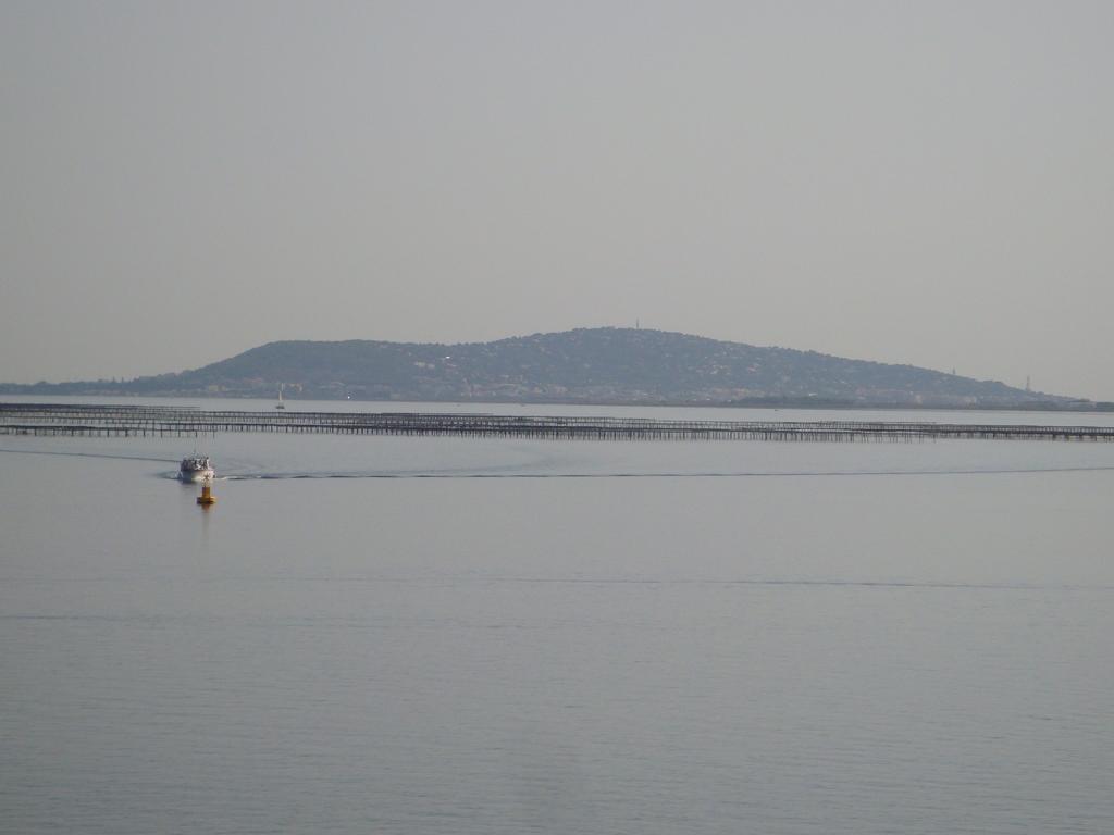 Port Rive Gauche Iona Apartman Marseillan Kültér fotó